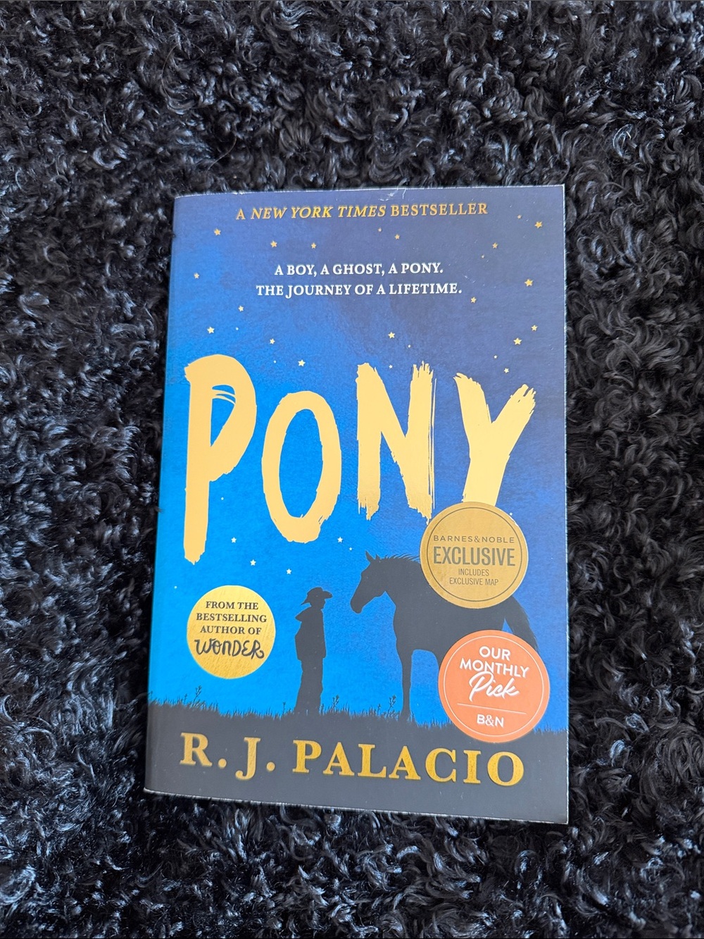 Pony Book in Blue